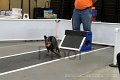 IMG_4045
