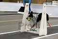 IMG_4057