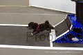 IMG_4122