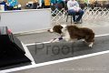 IMG_4156