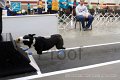 IMG_4159