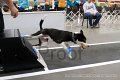 IMG_4161