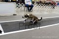 IMG_4164