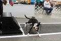 IMG_4172