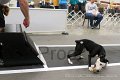 IMG_4173