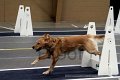 IMG_4268