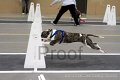 IMG_4287