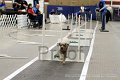 IMG_4295