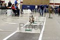 IMG_4296