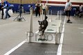 IMG_4306
