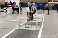 IMG_4309