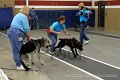 IMG_4323
