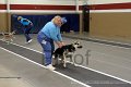 IMG_4325