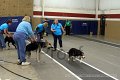 IMG_4328