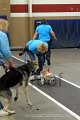 IMG_4329