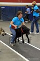 IMG_4330