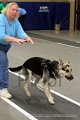 IMG_4333