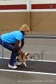 IMG_4337