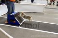IMG_4366