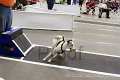 IMG_4376