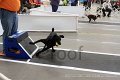 IMG_4381