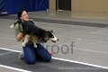IMG_4462