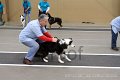 IMG_4468