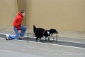 IMG_4588