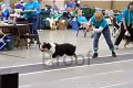 IMG_4601