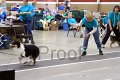 IMG_4602