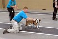 IMG_4615