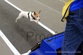 IMG_4639