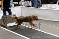 IMG_4659