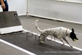 IMG_4660