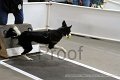 IMG_4661