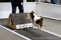 IMG_4665