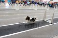 IMG_4674