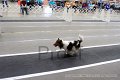 IMG_4675