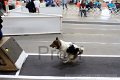 IMG_4677