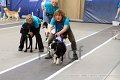 IMG_4701