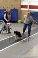 IMG_4738