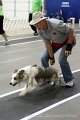 IMG_4741