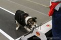 IMG_4767