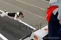 IMG_4773