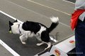 IMG_4780