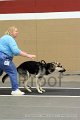 IMG_4797