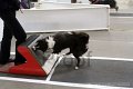 IMG_4836