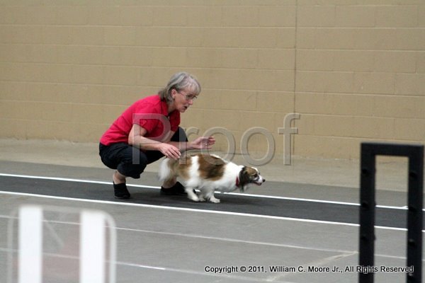 IMG_2884.JPG