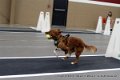IMG_2902