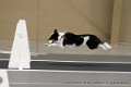 IMG_3033